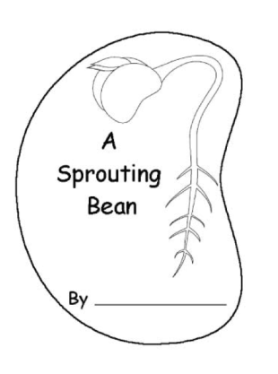 bean-booklet-cover